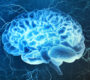 neurology brain 90x80